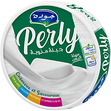 PERLY Fromage Fondu 8 Portions – SANS GLUTEN